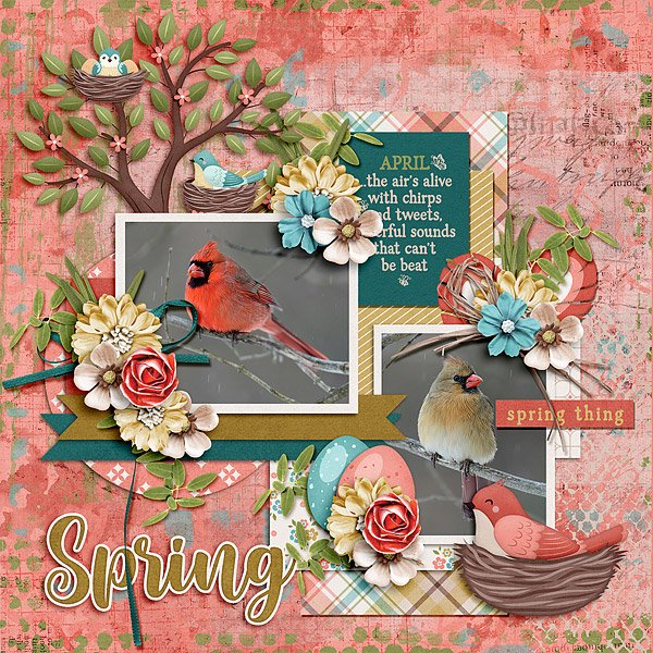 Spring