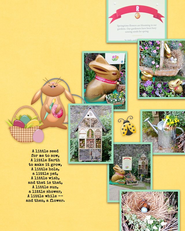 spring