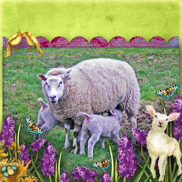 Spring!