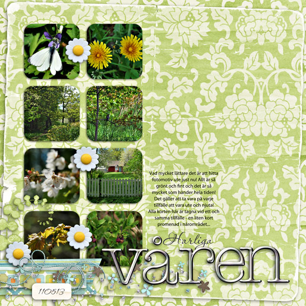 spring110513