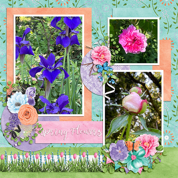spring153