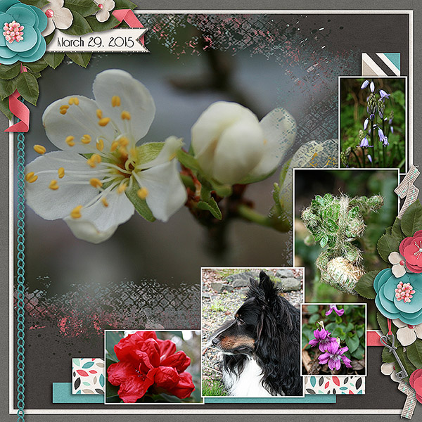 Spring2