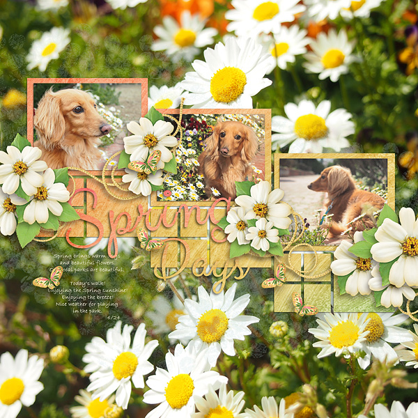 Spring_days