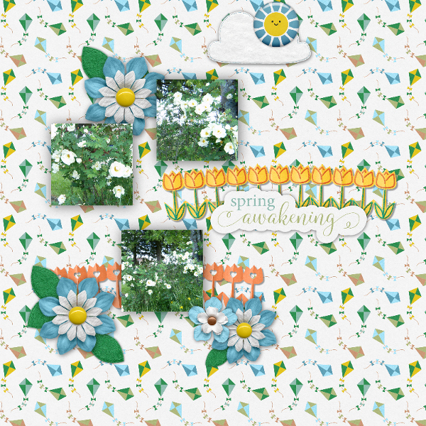 spring_flowers12