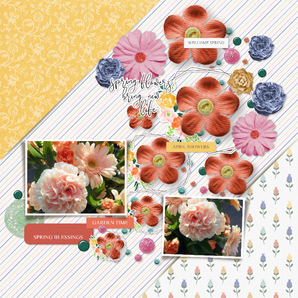 spring_flowers13