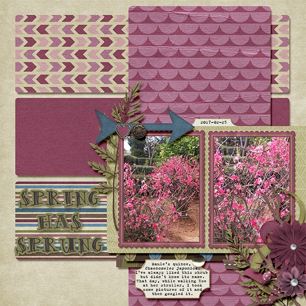 spring_has_sprung3