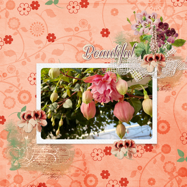 spring_is_here