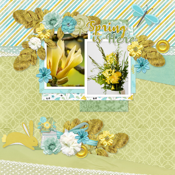 Spring_is_here8