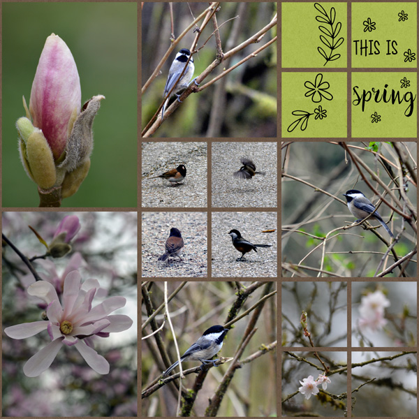 Spring_March2016