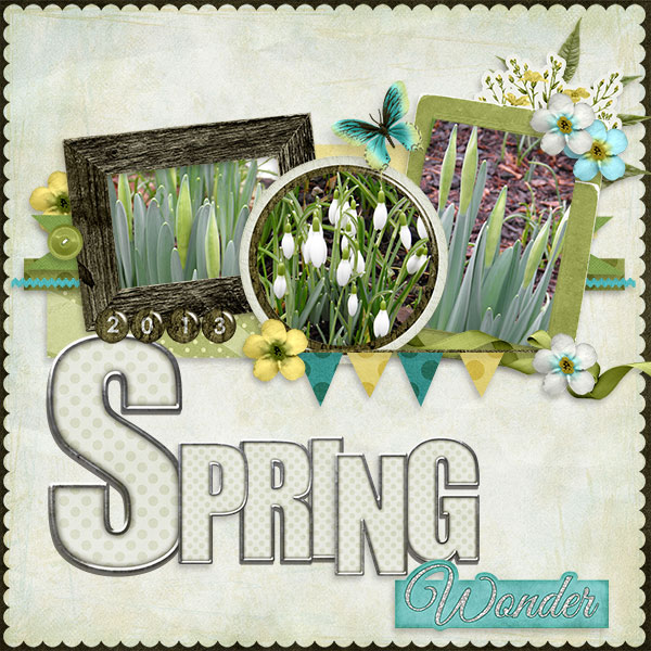 Spring_Wonder