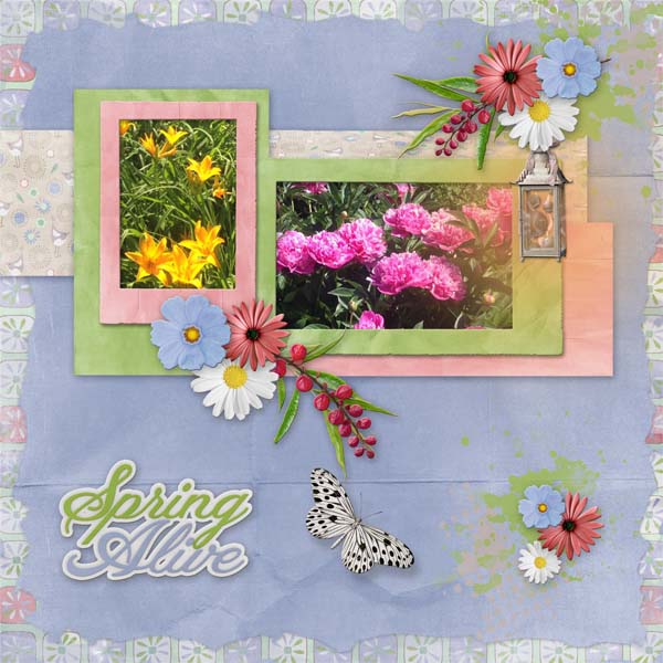 springalive