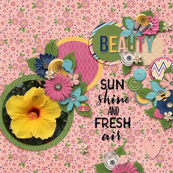 springbeauty