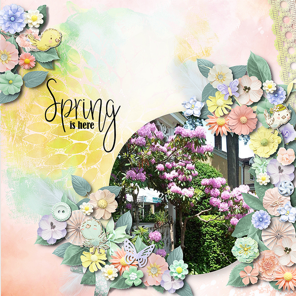 springhere
