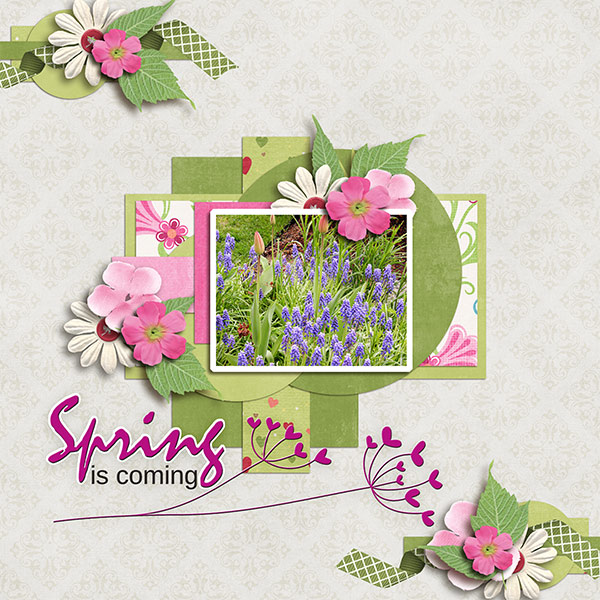 SpringIsComming