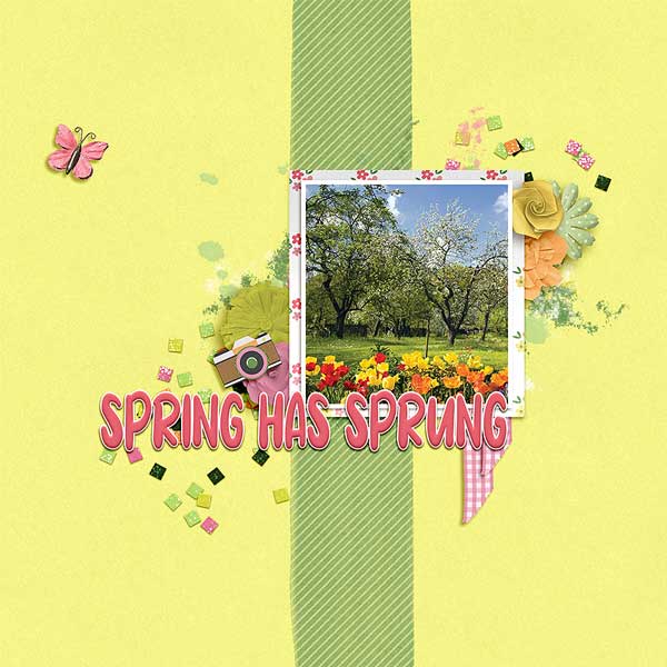 springspring