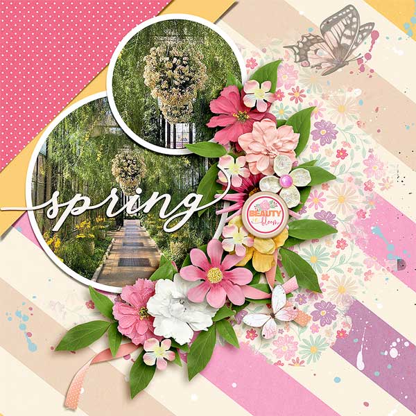 SPRINGSPRINGSP
