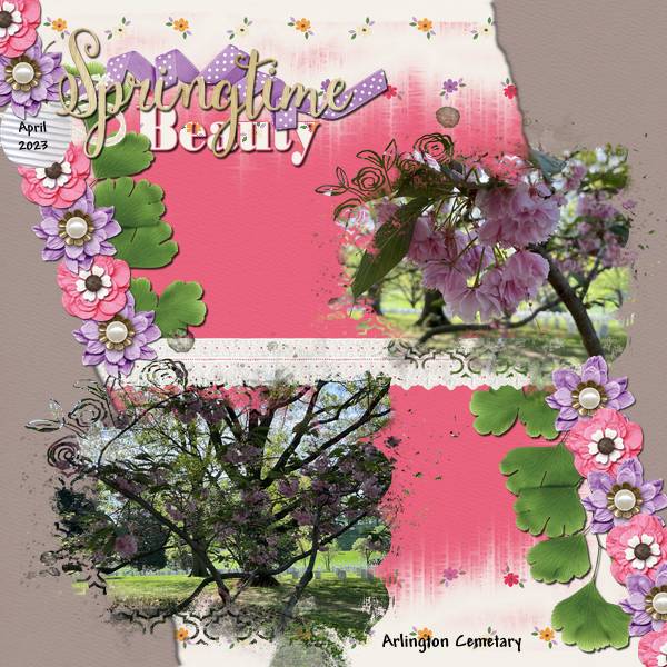 Springtime Beauty