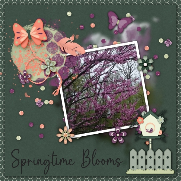 Springtime Blooms