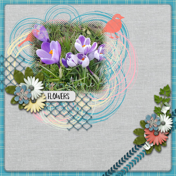 Springtime Flowers