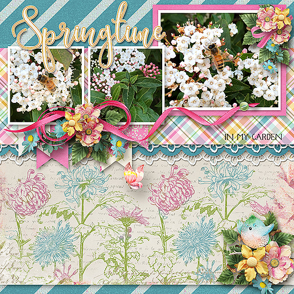 Springtime in my Garden