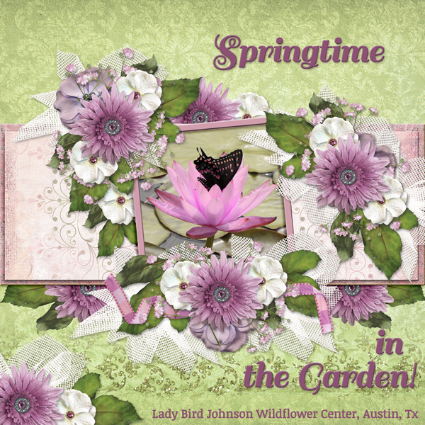 Springtime in the Garden