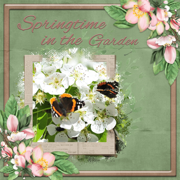 Springtime in the Garden
