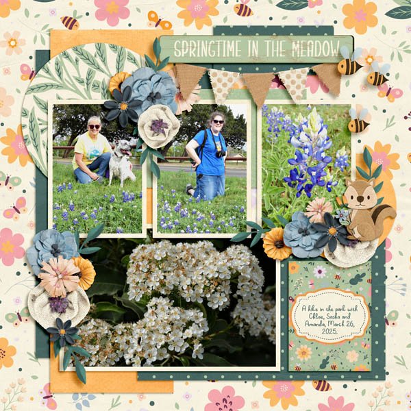 Springtime in the Meadow