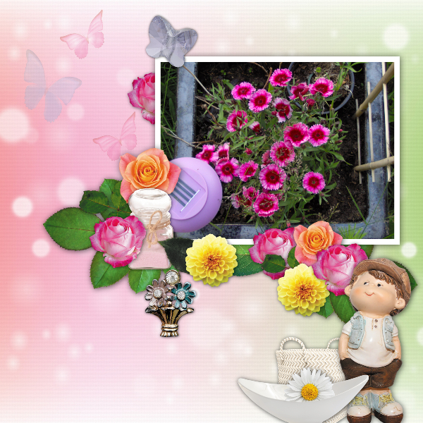 Springtime memories