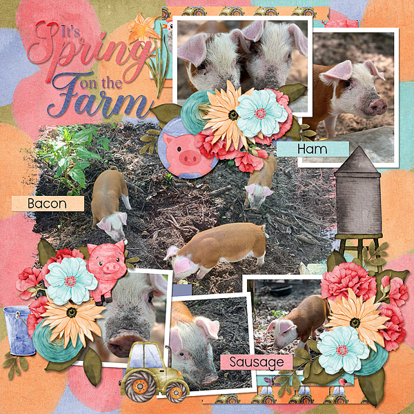 Springtime on the Farm