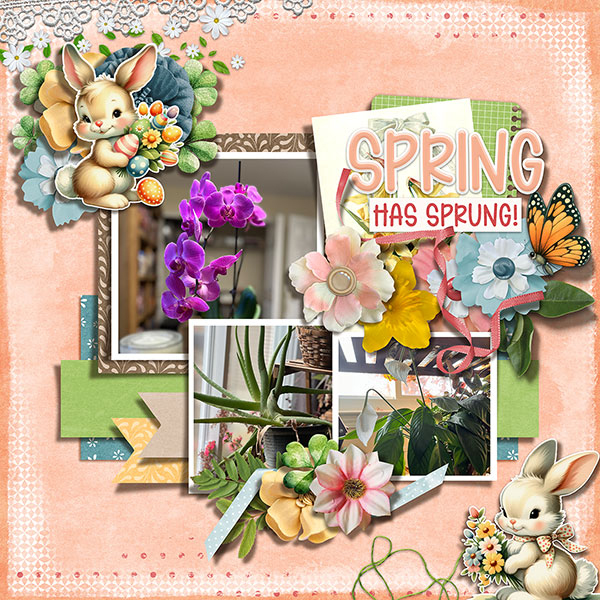 Springtime Plants