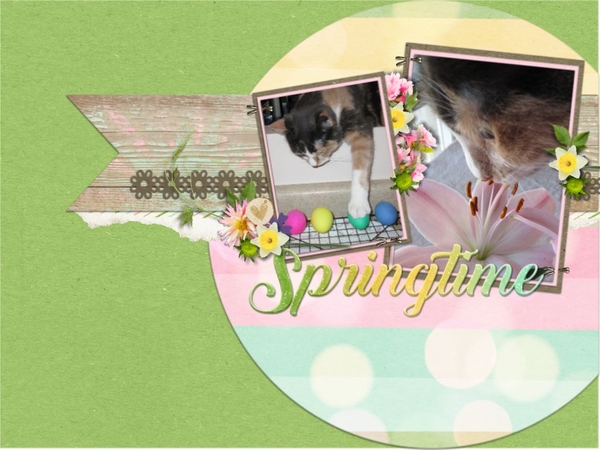 Springtime