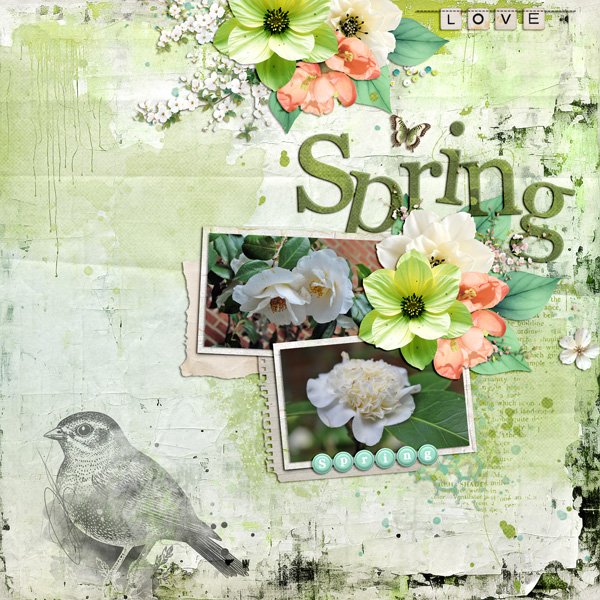 springtime