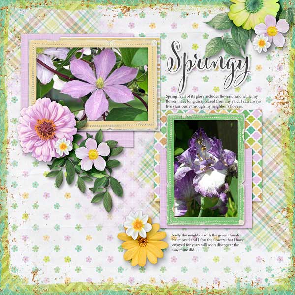 Springy