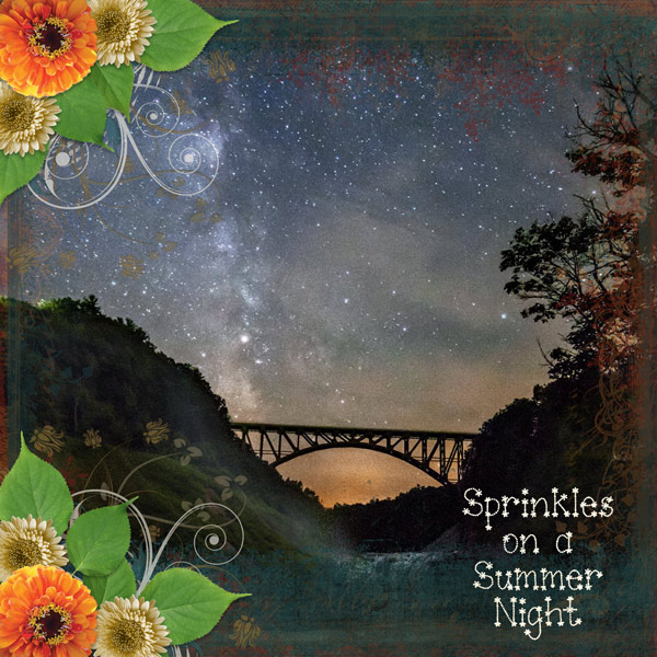 Sprinkles in the Summer Night