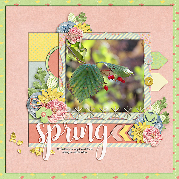 Sprng