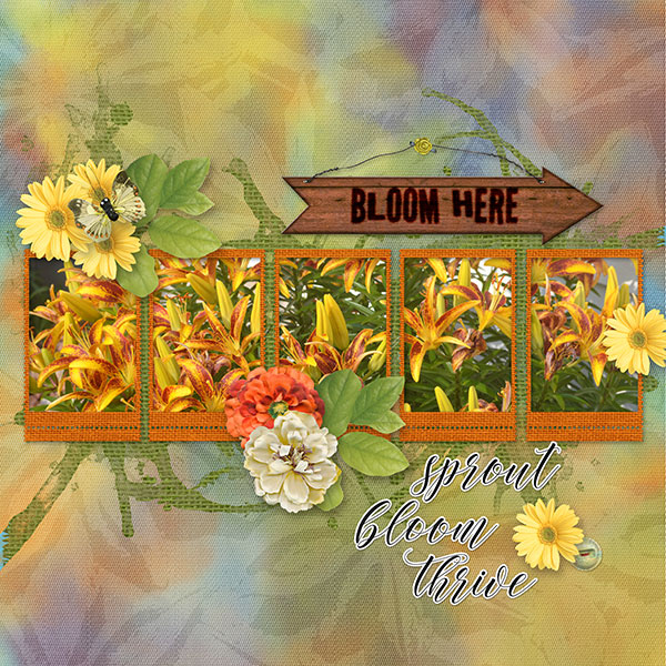 Sprout Bloom Thrive