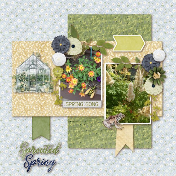 Sprouted Spring