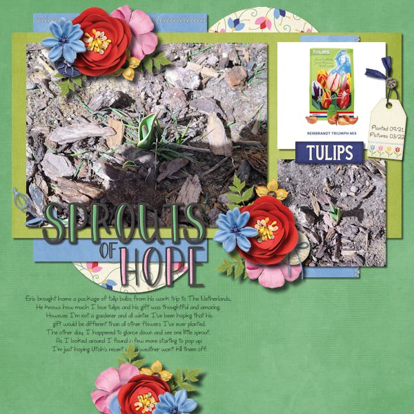 Sprouts of Hope