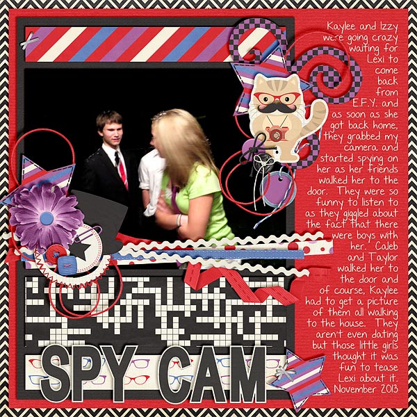 Spy Cam