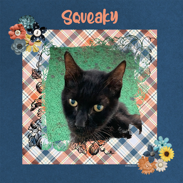 Squeaky