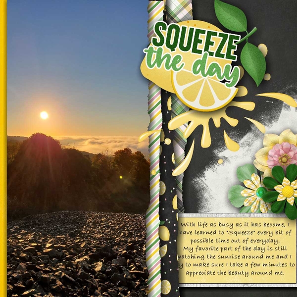 Squeeze The Day