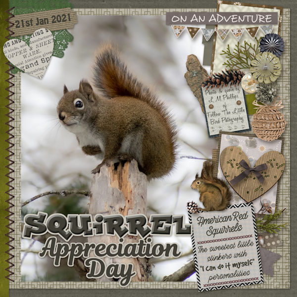 Squirrel Appreciation Day