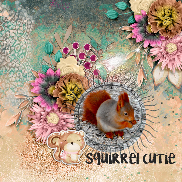 Squirrel-cutie