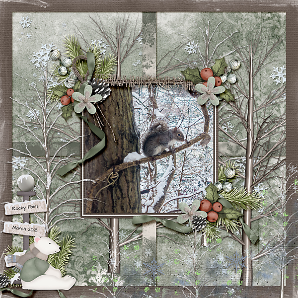 Squirrel In Snow