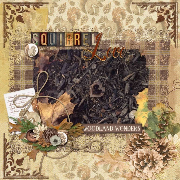 Squirrel Love