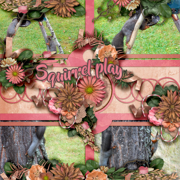 Squirrel-play