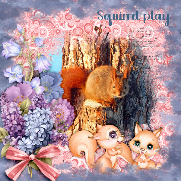 Squirrel-play2