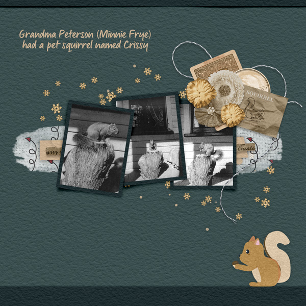 Squirrel-ScrapChat