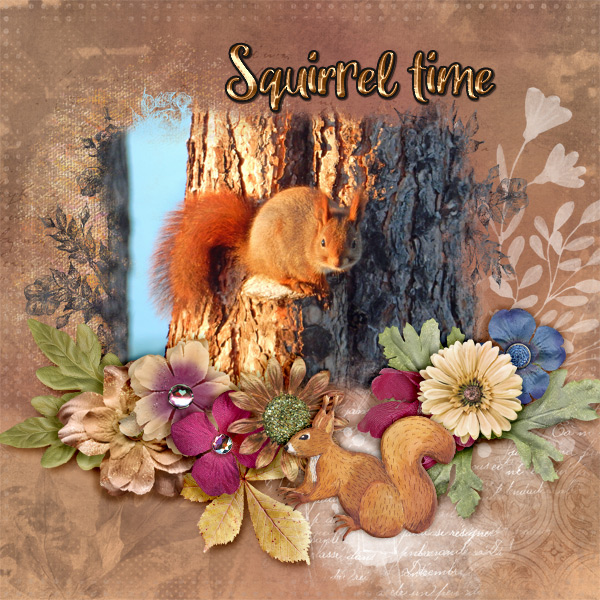 Squirrel-time1