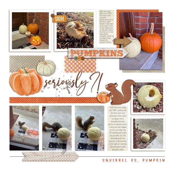 Squirrel vs. Pumpkin 11-12-24